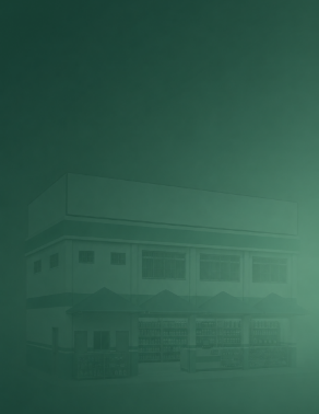 Conheça a história da Newton's